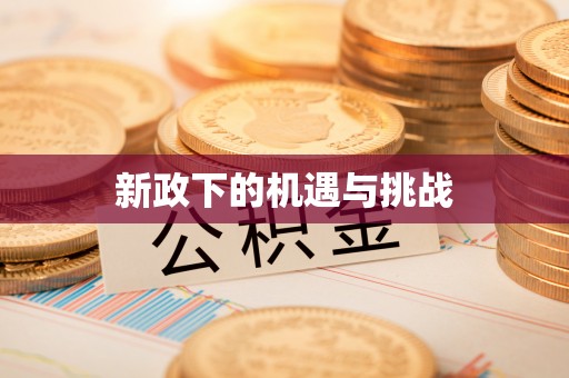 中埔新政下的机遇与挑战