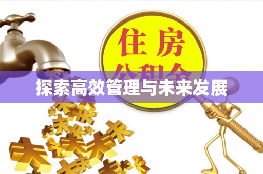 中埔探索高效管理与未来发展