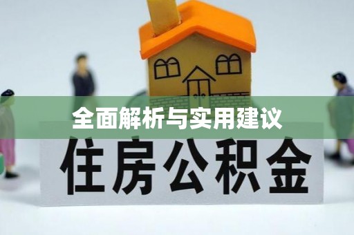 中埔全面解析与实用建议