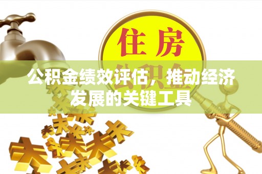 中埔公积金绩效评估，推动经济发展的关键工具