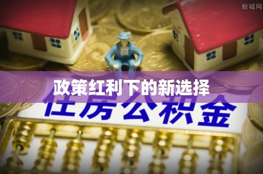 中埔政策红利下的新选择