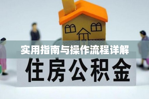 中埔实用指南与操作流程详解