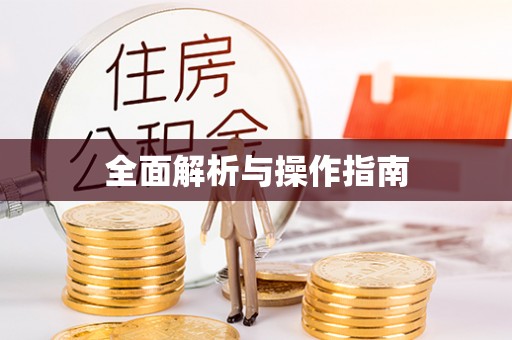 中埔全面解析与操作指南
